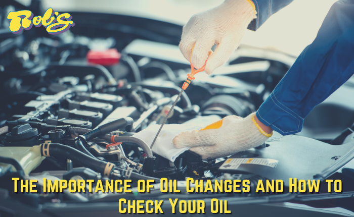 Rob's auto technician check oil levels in customer's car.